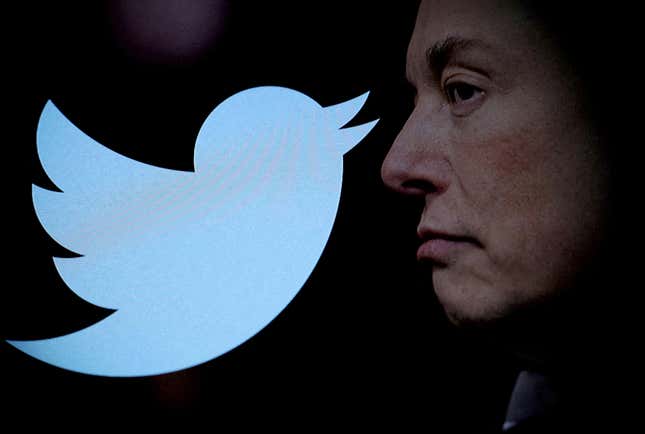 An image of a large Twitter logo on the left, and Elon Musk's face in profile on the right, set against a black background.