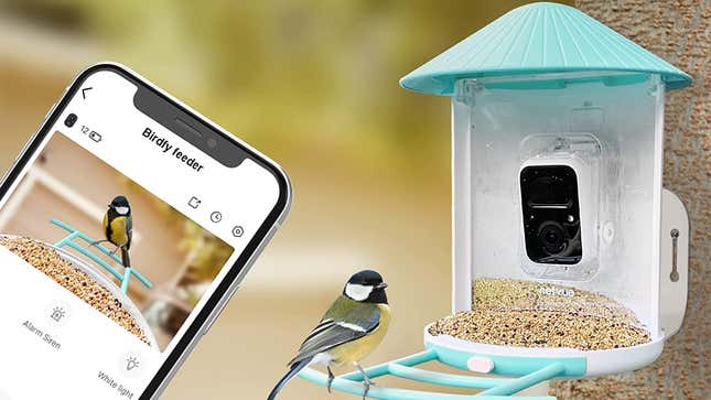 A bird approaches the feeder while its image is displayed on a smartphone.