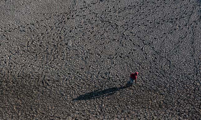 Image for article titled See Stunning Photos of How Climate Change Is Altering Our World