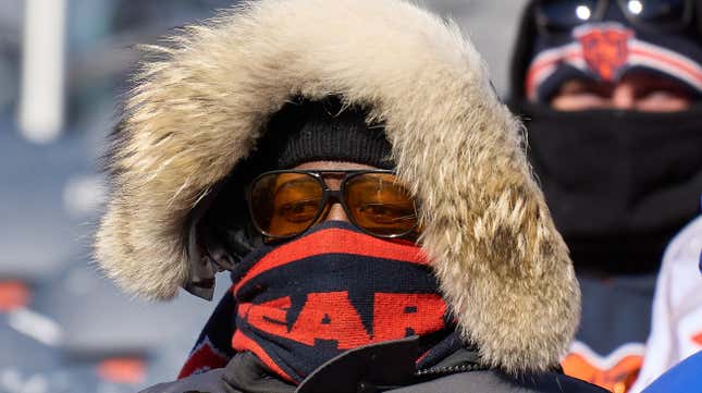 A stoic Bears fan braves the arctic tundra for their heroes.
