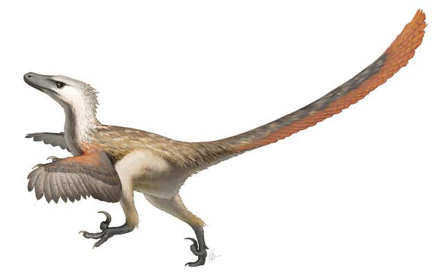 Artist’s interpretation of Velociraptor mongoliensis.