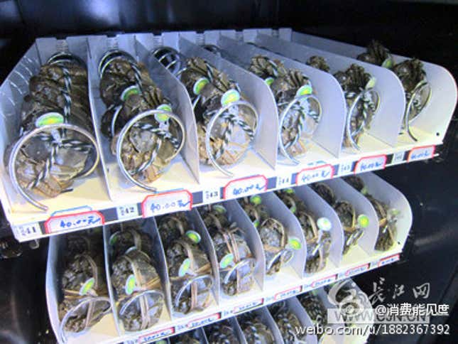 Image for article titled One more way China is out-innovating the US: with a vending machine full of live crabs
