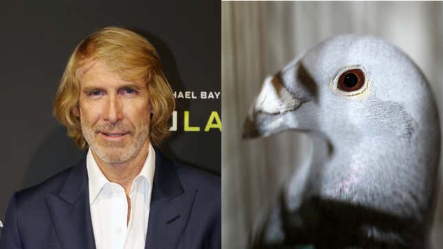 Left: Acclaimed and highly successful director Michael Bay (Photo: Aaron Davidson/Getty Images). Right: A pigeon (Photo: Christopher Furlong/Getty Images)