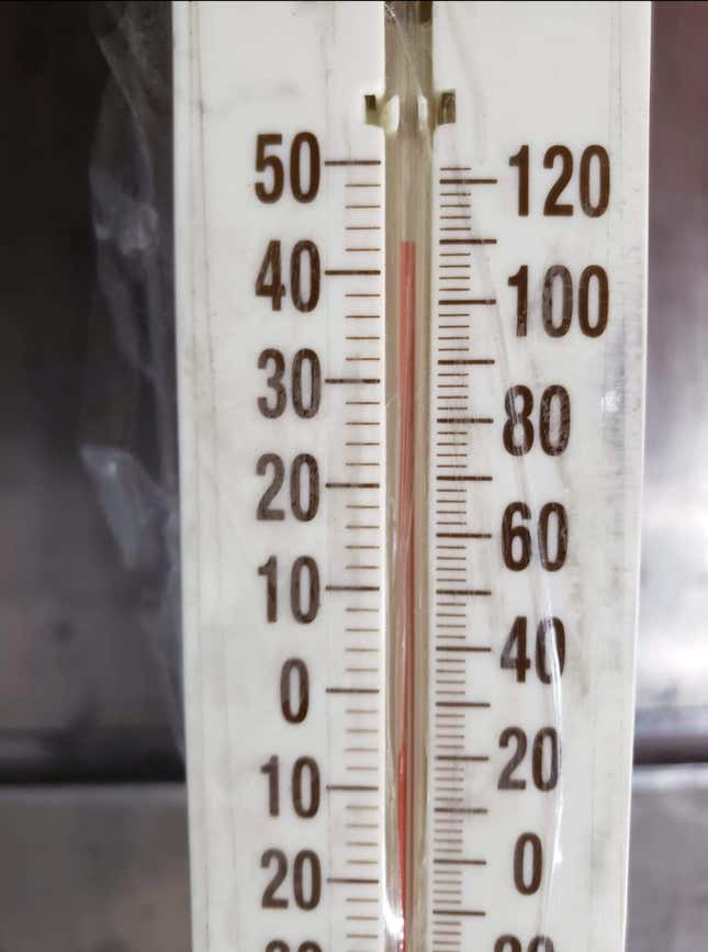 Image for article titled UPS drivers are collapsing from heat exhaustion—and bringing it to the bargaining table