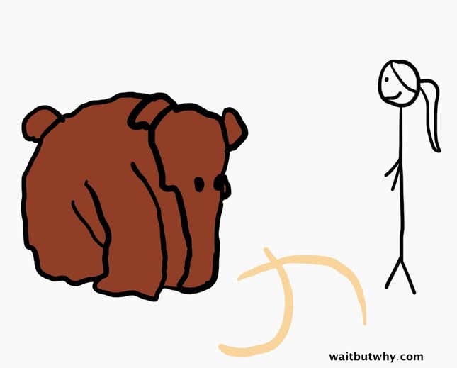 Image for article titled A successful life depends on following your instincts over your primal need to fit in