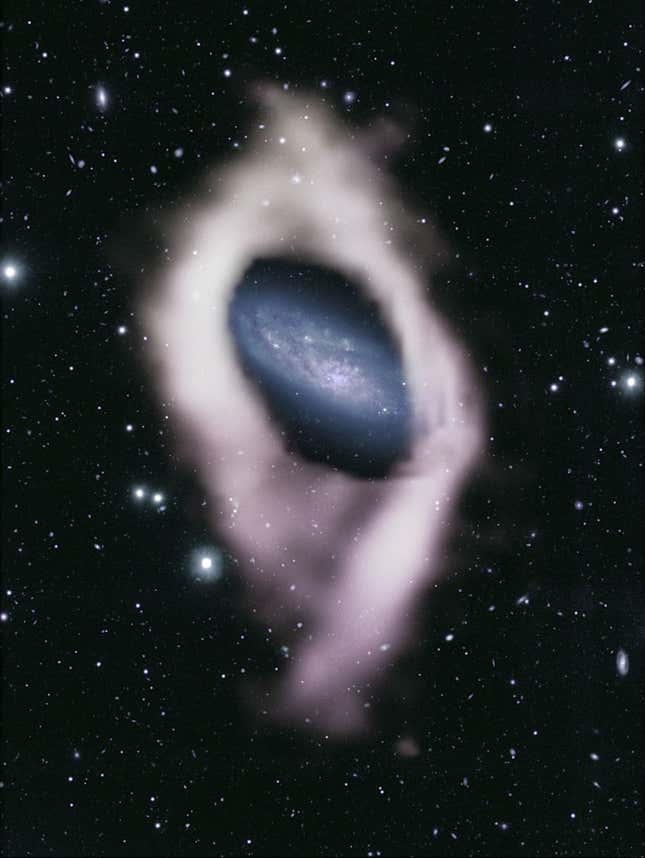 الصورة الكاملة للمجرة والحلقة القطبية التي اكتشفها ASKAP.