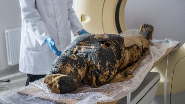 The mummy, as seen during an examination in 2015. 