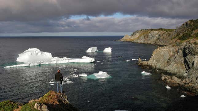 Canada, Maritimes, Newfoundland, Twillingate,Crow Head ,man and iceberg.