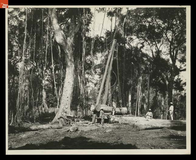 Workers Moving Logs, Fordlandia, Brazil, August 1931