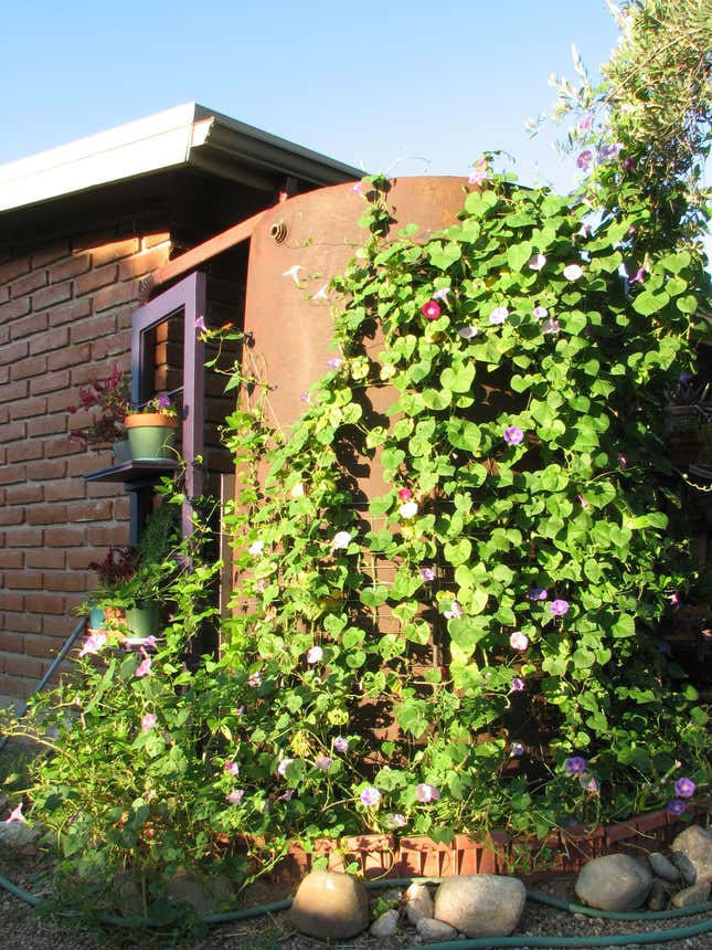 Outdoor shower