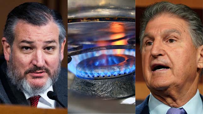 Side by side photos of Ted Cruz, a gas burner, and Joe Manchin. 
