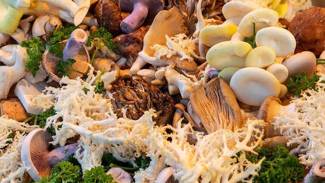An assortment of wild mushrooms