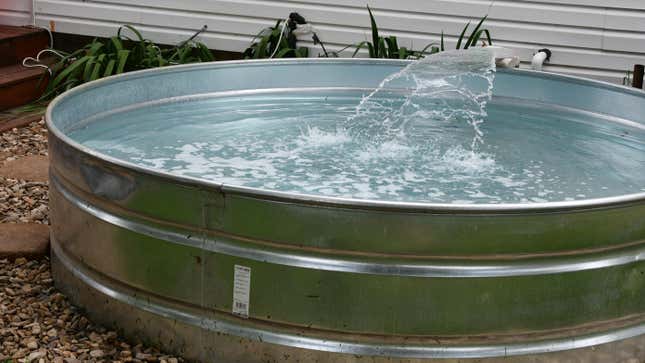 stock tank swimming pool in a yard