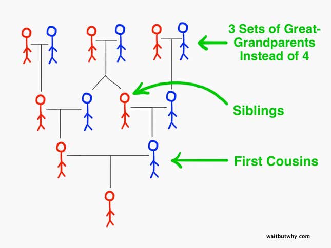 Image for article titled Everyone on Earth is actually your cousin