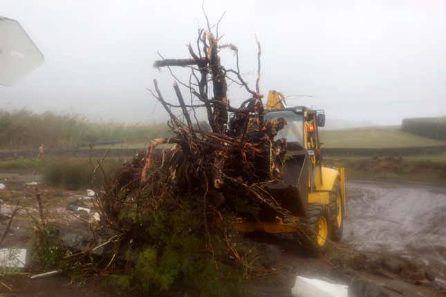 A bulldozer removes fallen trees in the seafront village of Feteira, outside Horta, on the Portuguese island of Faial.