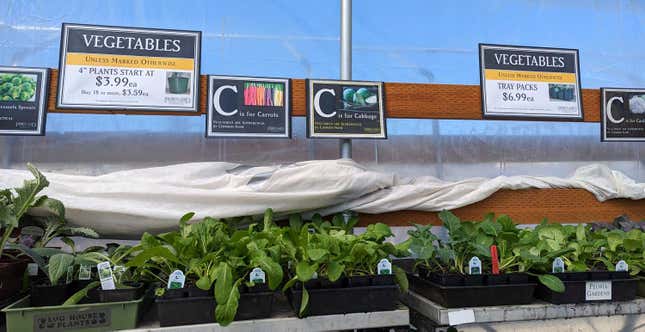 Vegetable starts on a shelf in a greenhouse with signage and prices above. 