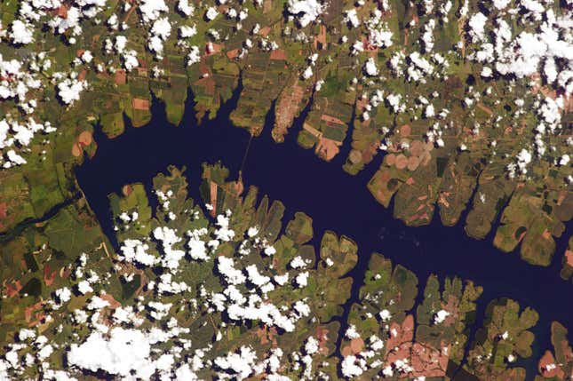 The area around Perereira Barreto in Brazil, was dammed in the 1990s to create a hydroelectric plant, submerging many farms and even a suspension bridge.
