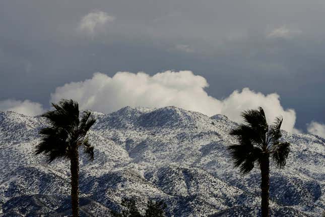 Two palms trees are backdropped by snow-covered mountains in Hesperia, Calif., Wednesday, March 1, 2023.