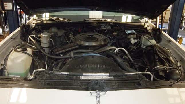 Image for article titled At $8,500, Is This 1985 Chevy Caprice a Classic Deal?