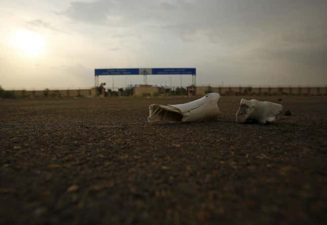 Bones of dead animals lie on a road outside the Jaisalmer Airport.