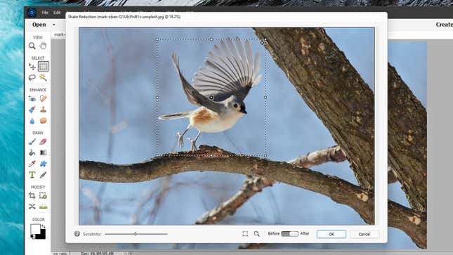 Image for article titled 10 Tips To Make You a Photoshop Elements Expert