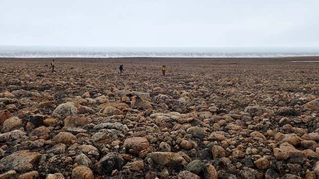 Team members conducting fieldwork along the edge of the Greenland Ice Sheet in 2019.