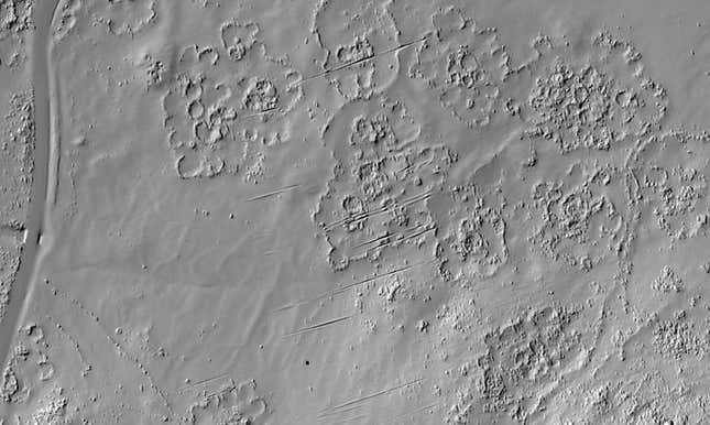 LiDAR, was used to “redraw” the remains of the city, along the lower western slopes of the Suikerbosrand hills near Johannesburg.