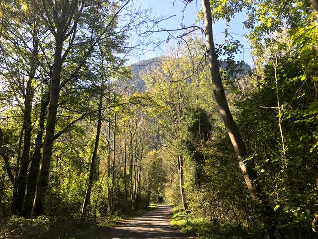 The single-track road leading to the vault