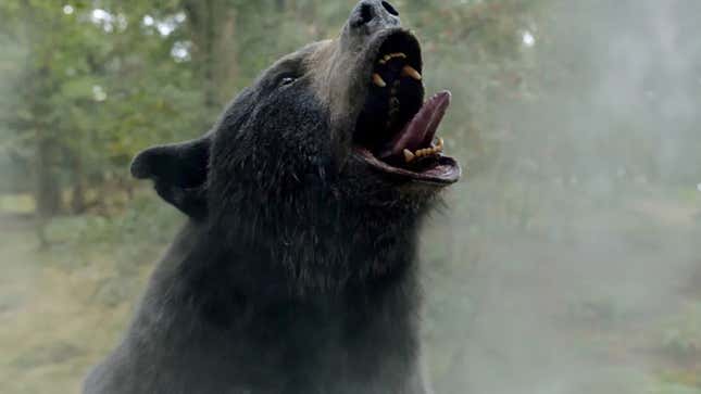 Image for article titled Panicked ‘Cocaine Bear’ Producers Scrambling To Expand 4 Minutes Of Social Media Clips Into Actual Movie