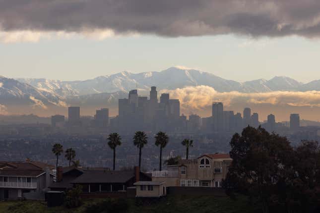 Palm trees and snow-capped mountains in LA, on Feb. 26, 2023.