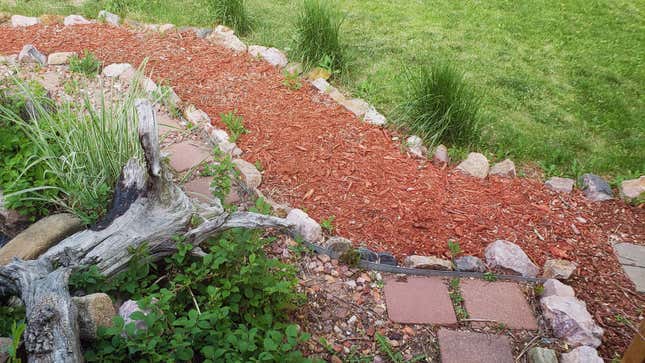 Image for article titled How to DIY an Inexpensive but Beautiful Garden Path