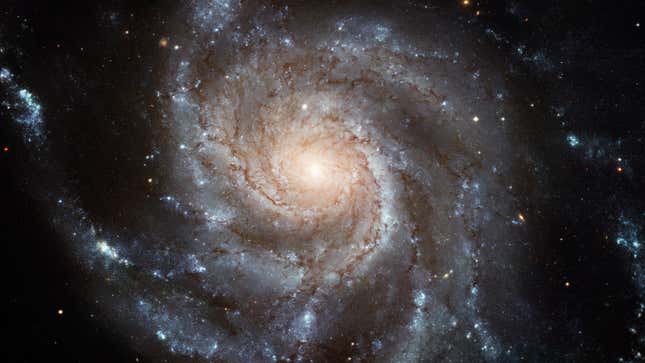 The spiraling arms of the Pinwheel galaxy.