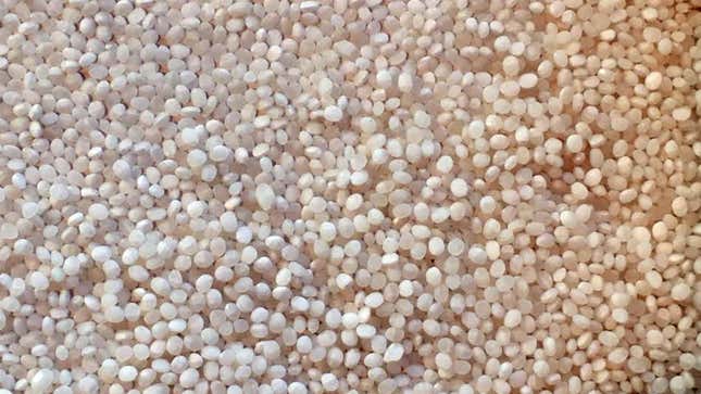 The polished grains of rice are small and round.