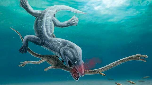 Este dinosaurio de seis metros perdió la cabeza de un solo mordisco