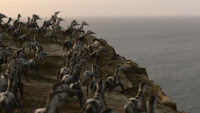 Juvenile pterosaurs get ready to fly for the first time. Off a cliff.