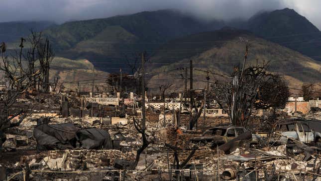 A view of the aftermath of a wildfire in Lahaina, Hawaii, on August 21, 2023.Photo: Jae C. Hong (AP)
