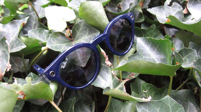 A pair of Ray-Ban sponsored Meta smart video glasses among a pile of leaves