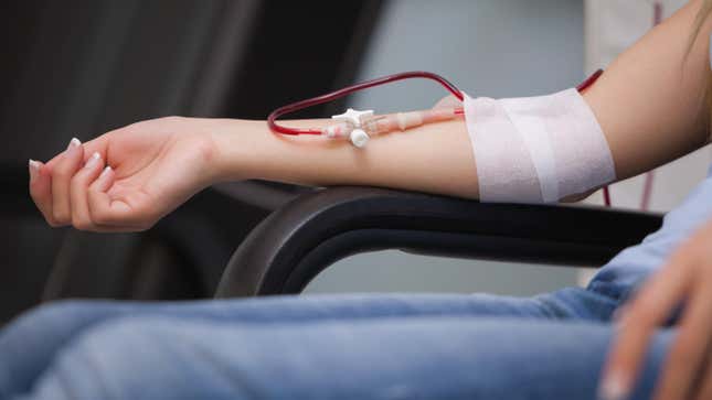 Image for article titled Donated Blood Is Safe No Matter a Person&#39;s Sex, Large Trial Finds