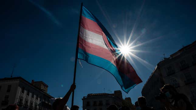 A transgender Pride flag is held up against the sky, a sunburst in the background.