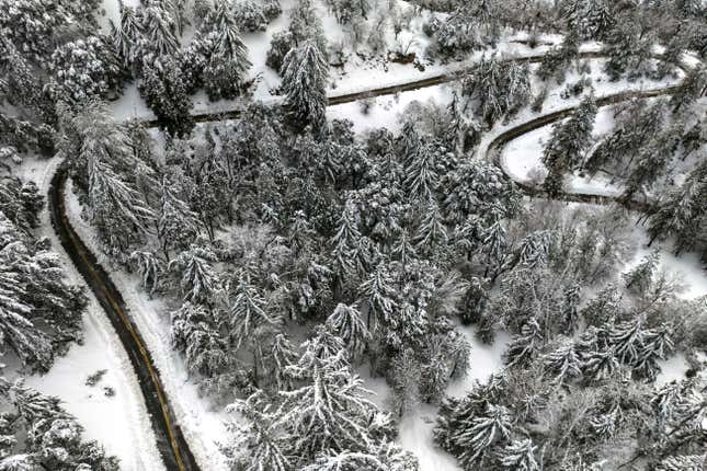 Snow-covered trees are seen along State Route 138 near Hesperia, California on Wednesday, March 1, 2023.