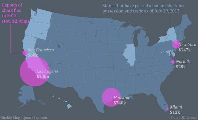 Image for article titled New York’s ban on the illegal shark-fin trade won’t do much to protect sharks
