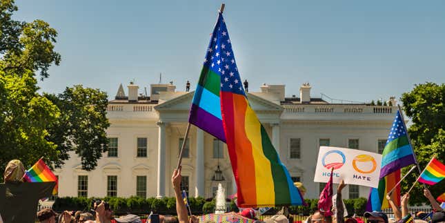 Image for article titled Voting While Black &amp; Queer