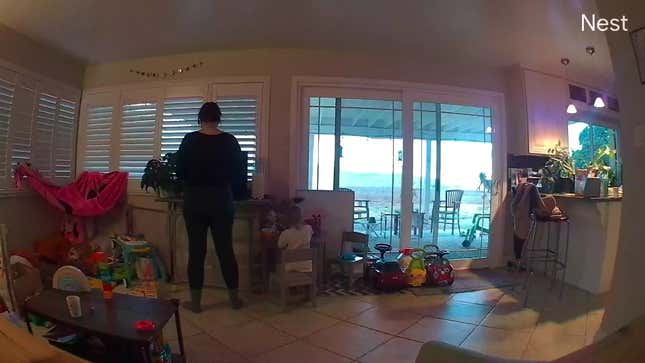 A photo sample from the indoor Nest Cam