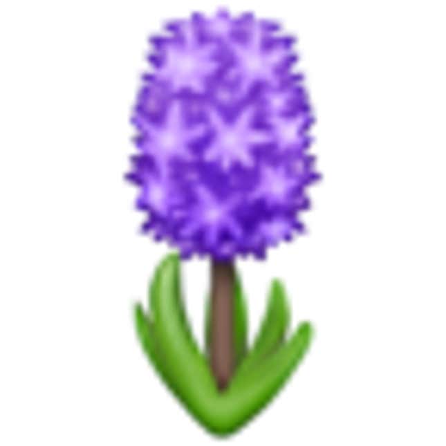 Hyacinth emoji