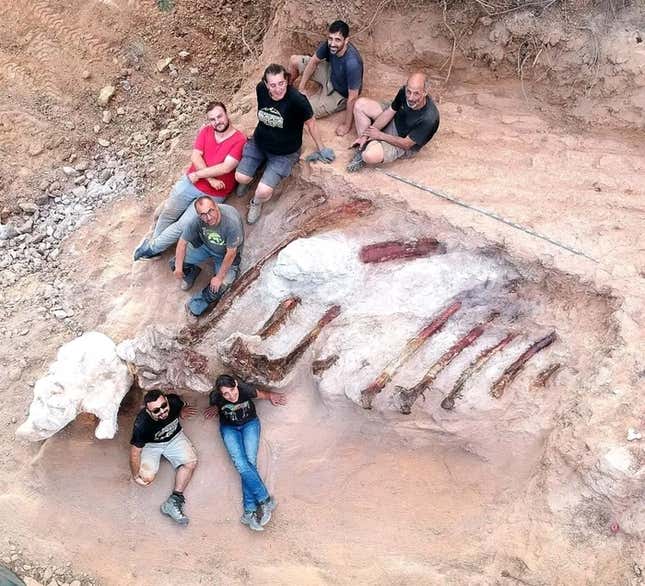 Imagen para el artículo titulado Este podría ser el dinosaurio más grande jamás encontrado en Europa