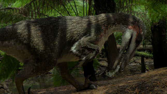 Austroraptor, a South American relative of Velociraptor.