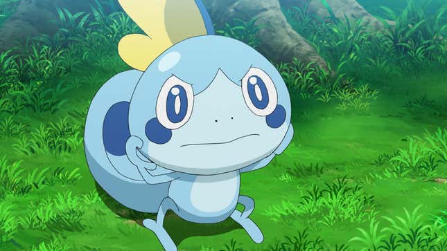 Sobble is seen standing in a grassy area with an angry expression.