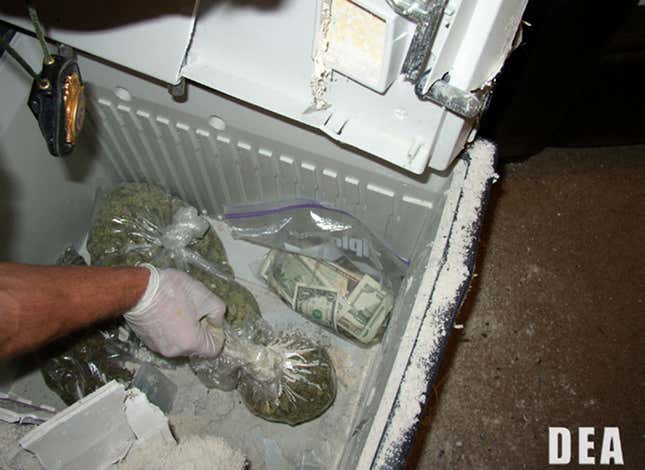 A U.S. Drug Enforcement Agency agent displays marijuana and cash confiscated during part of a five-month undercover drug investigation at the San Diego State University campus, in this undated handout photo from the DEA released May 6, 2008. Police have arrested 18 San Diego State University students on drug-related charges stemming from an undercover investigation there, a spokesman for the college said on Tuesday. Another 15 students were arrested previously during the five-month operation. REUTERS/DEA/Handout
