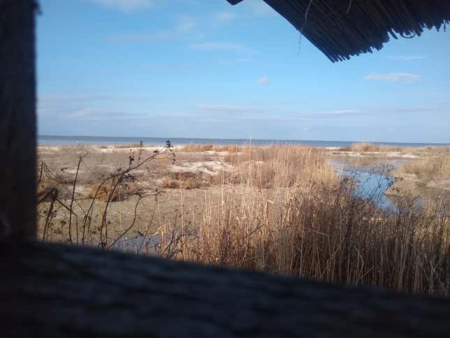 The view from a birdwatching hut on a beach near Prymorske, Ukraine.