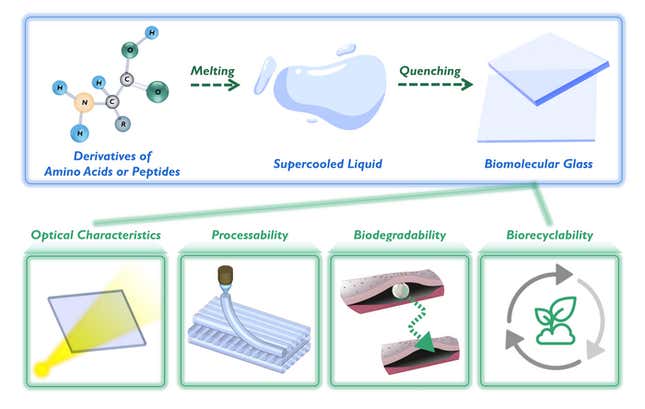 The properties of biomolecular glass. 